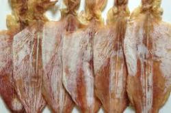 mực câu khô cát bà / kg
